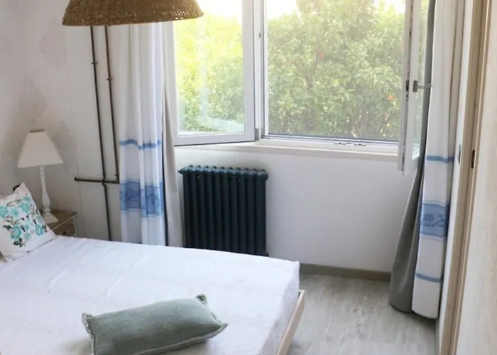 Lliri Blanc * Alguer